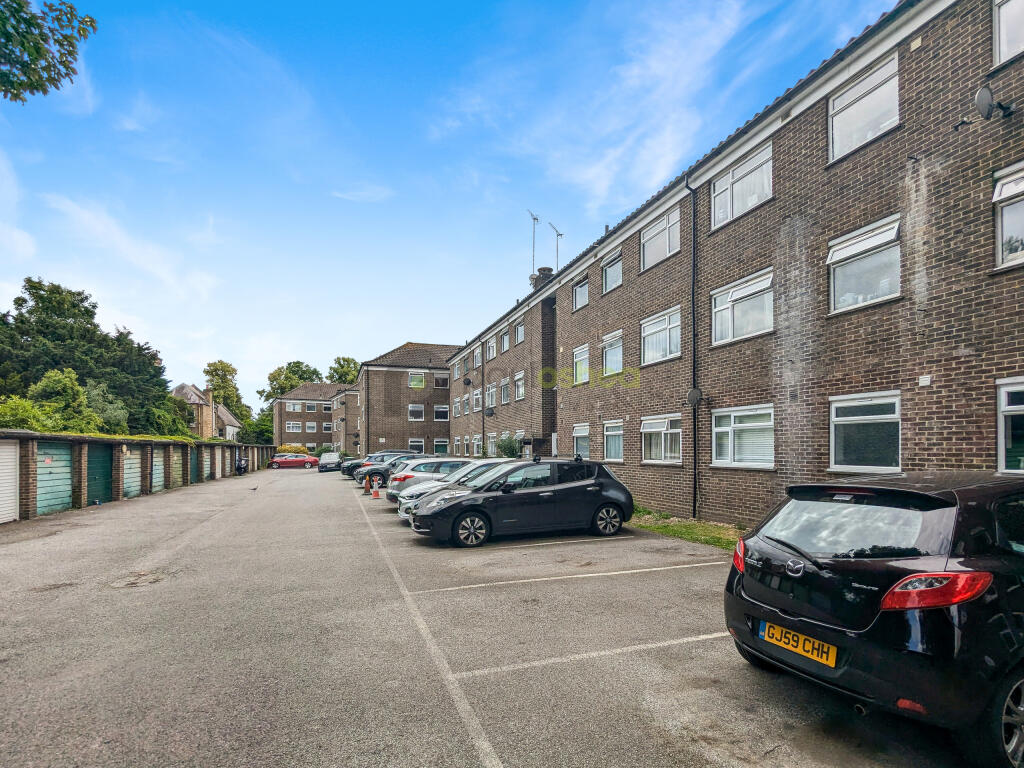 PXL_20240624_113818590-1