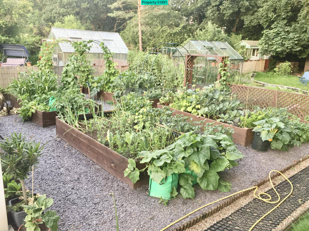 Raised veg bed area