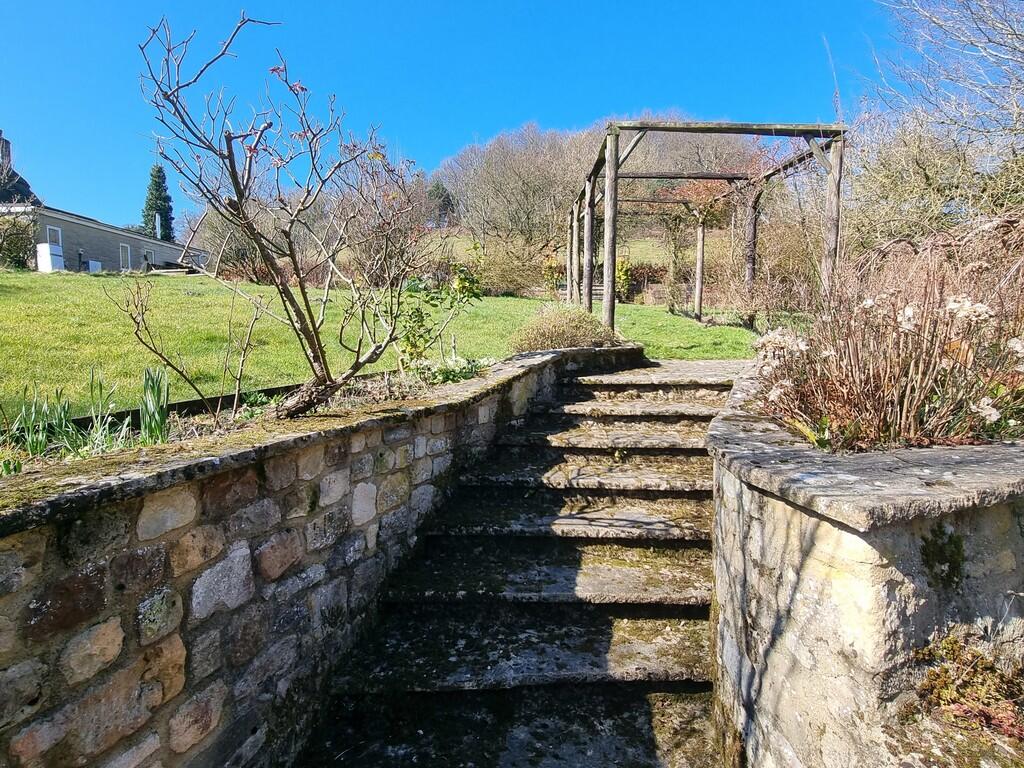 GARDEN PHOTO TWO