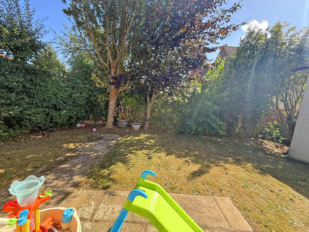 IMG_5396