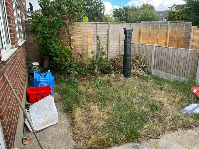 Garden.jpg