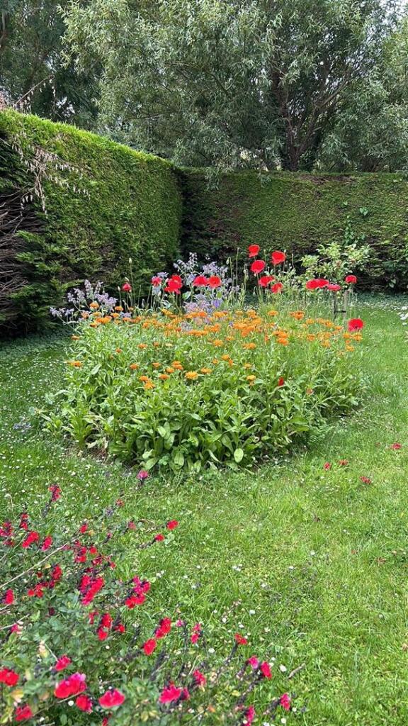 The Hollows, Fornt garden in summer.jpg