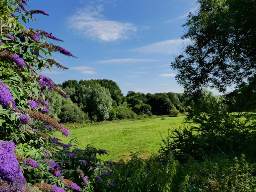 Near By Green Fields