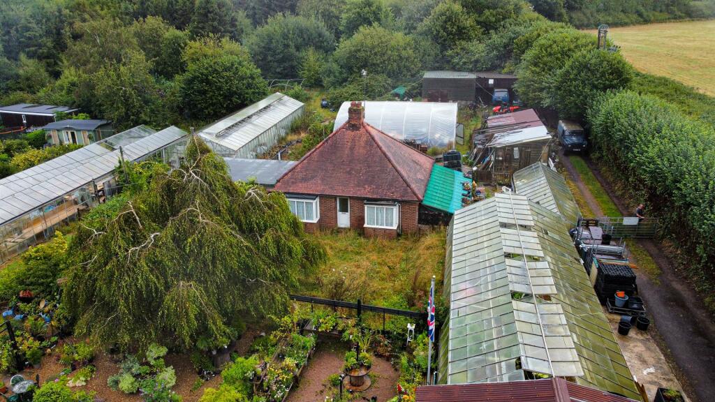 Photo 19-08-2024, 13 57 49 (39)_Alto.jpg