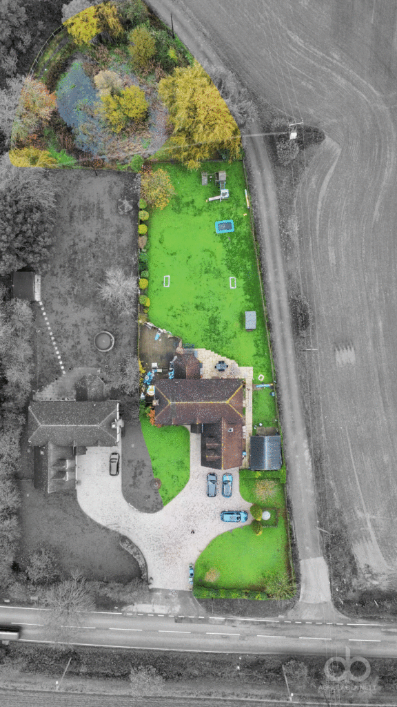 Plot-View 2