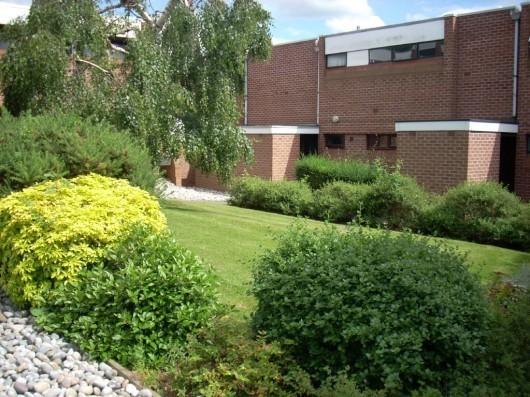 Communal garden area