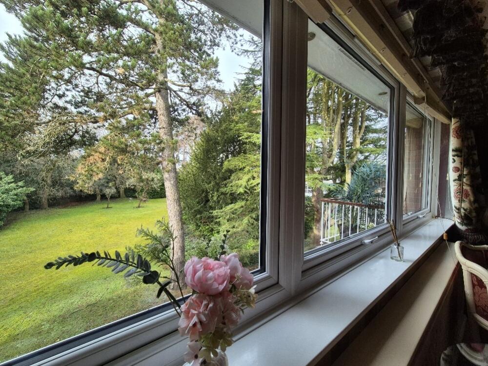 20250205_113648_resized_1