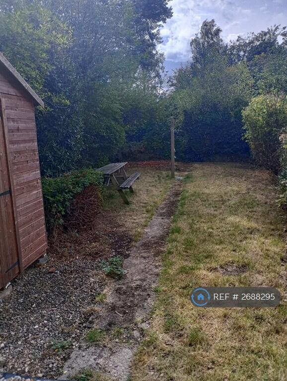 Back Garden
