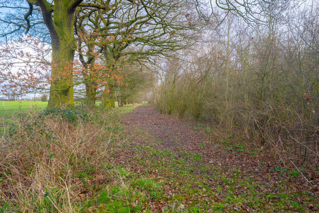 easthaggfarmground2