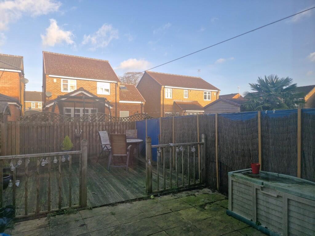 Back garden
