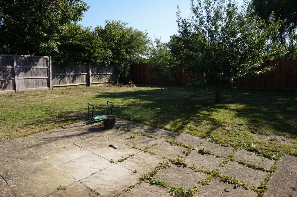 Rear Garden II