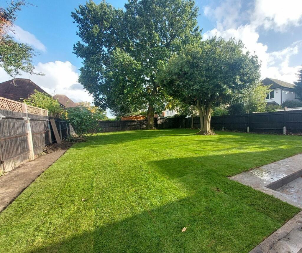 Garden 1.jpeg