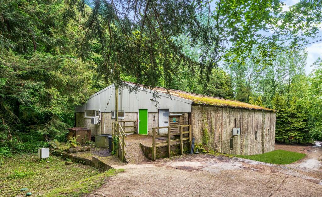 1132173 (8)dpcrop.jpg