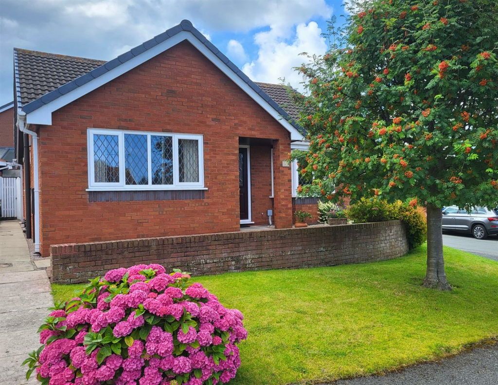 Copy of Untitled Design (14).png