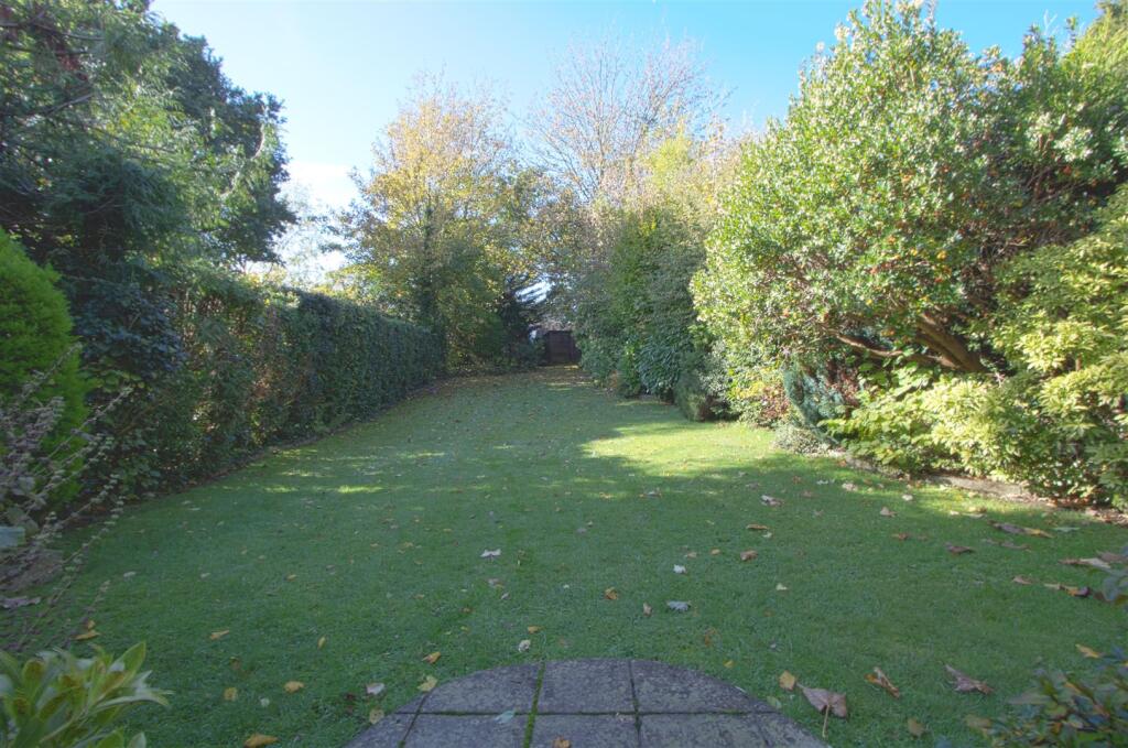 garden4.jpg