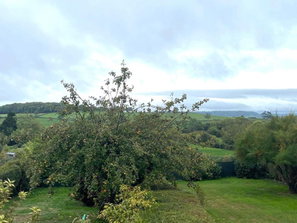View Two.JPG