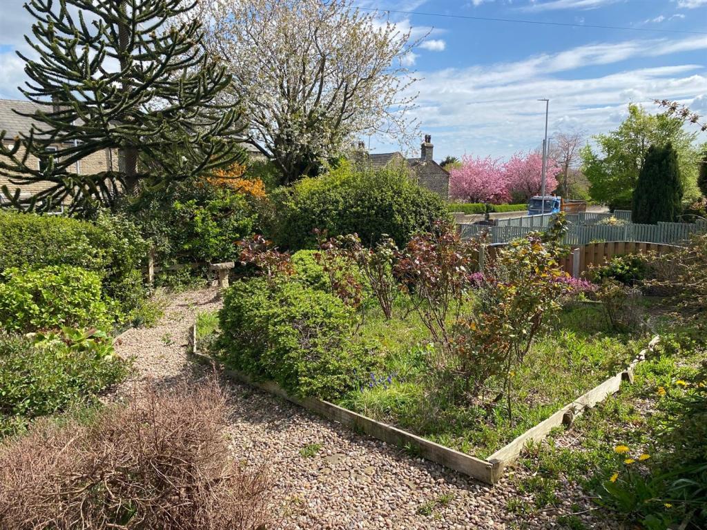 garden.jpg