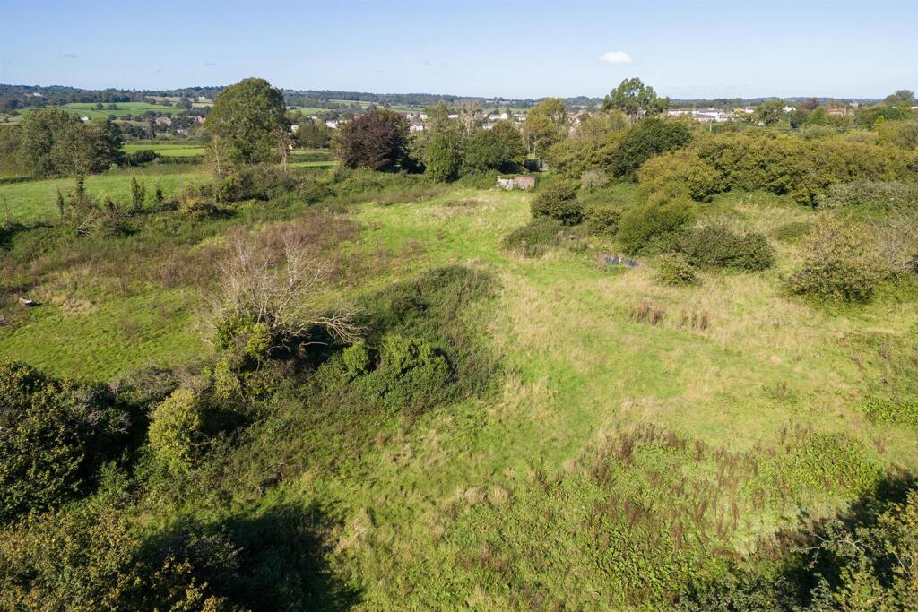 OakTreeNurseryDrone.7.jpg