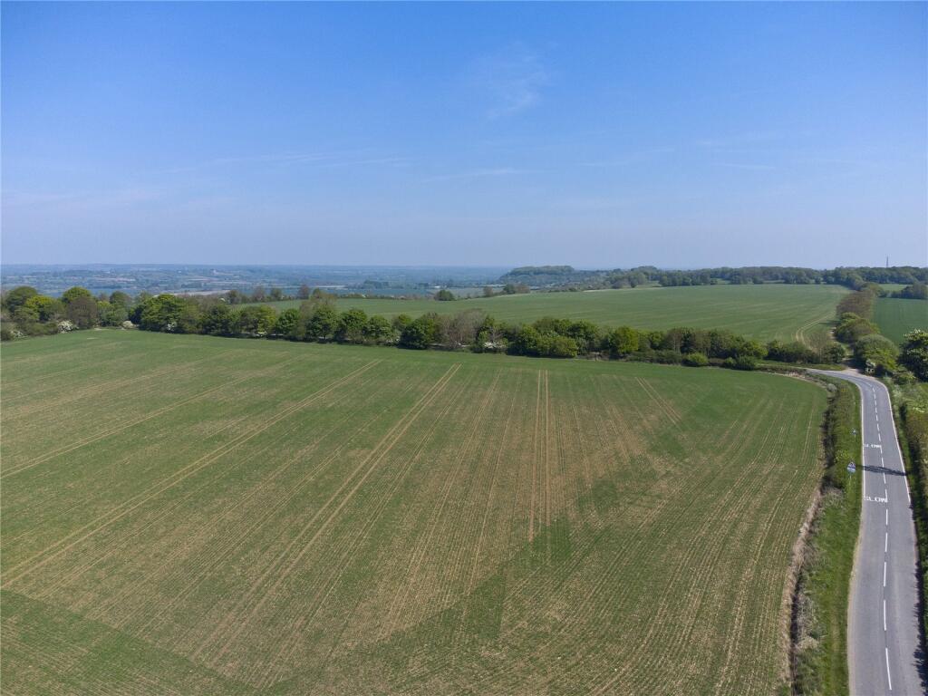 Lot 6