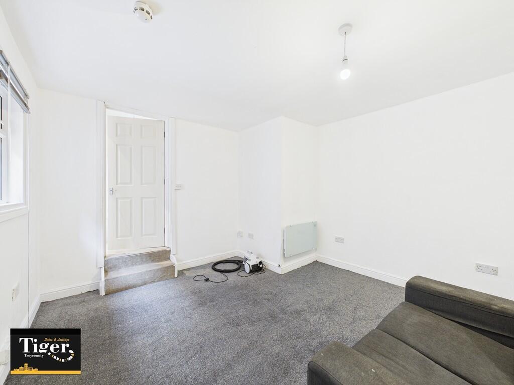 IMG_398830_25_lar...