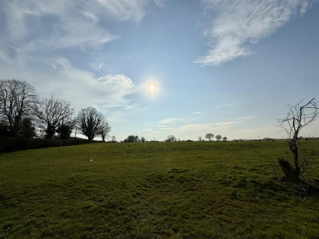IMG_0298.JPEG
