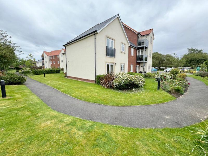 Communal gardens View 2