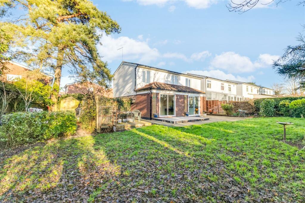 Pear Tree Dell 11-26.jpg