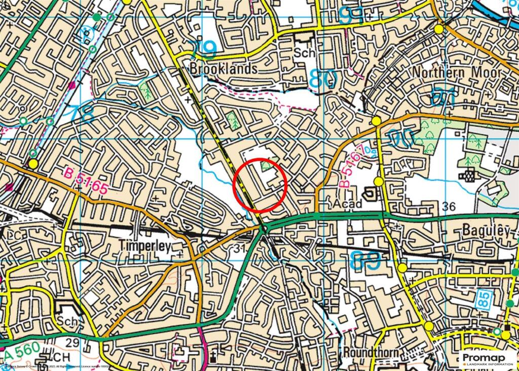 Town Plan
