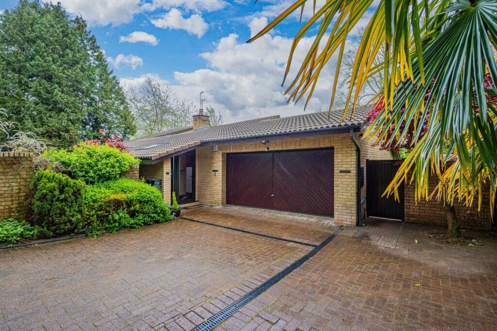 Mill Road 46b-33.jpg