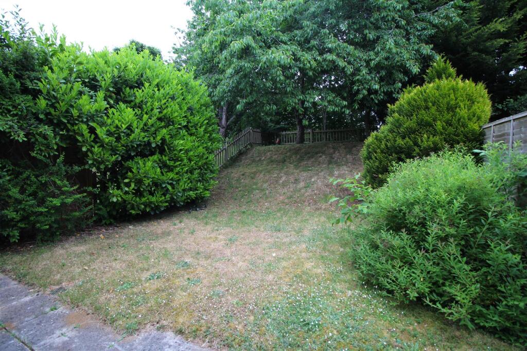 garden 1 .JPG