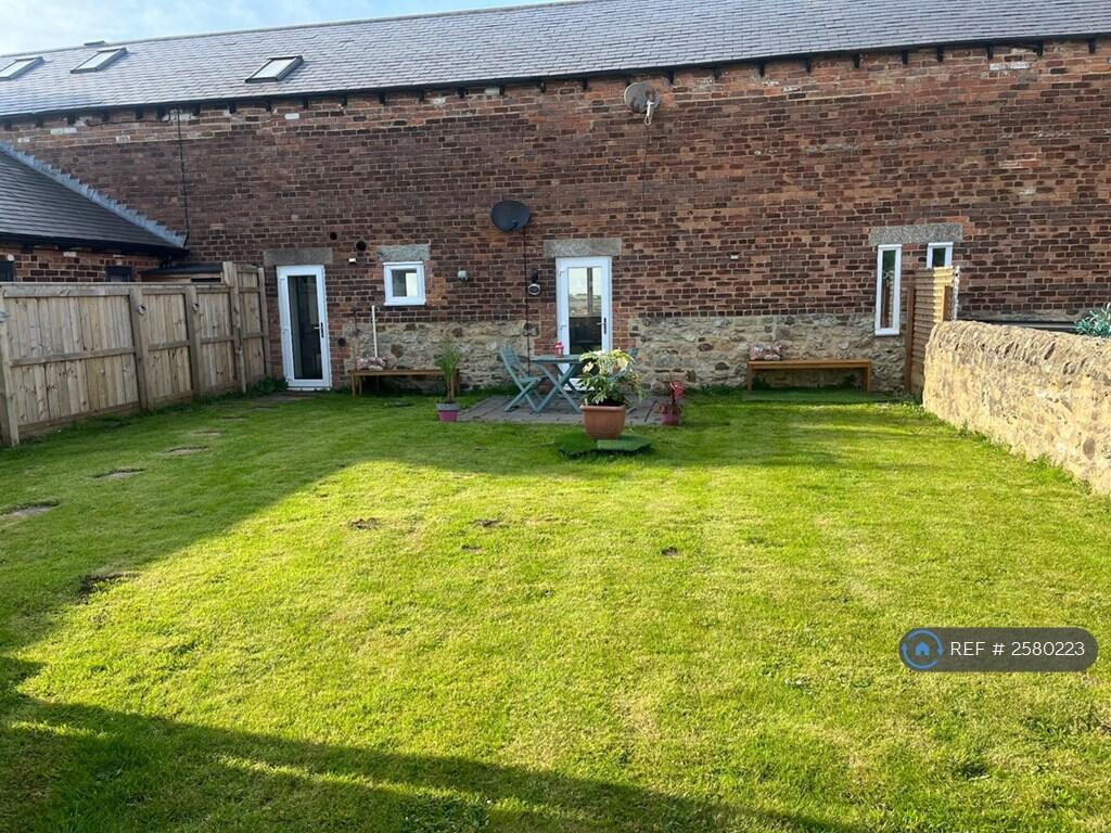 Back Garden