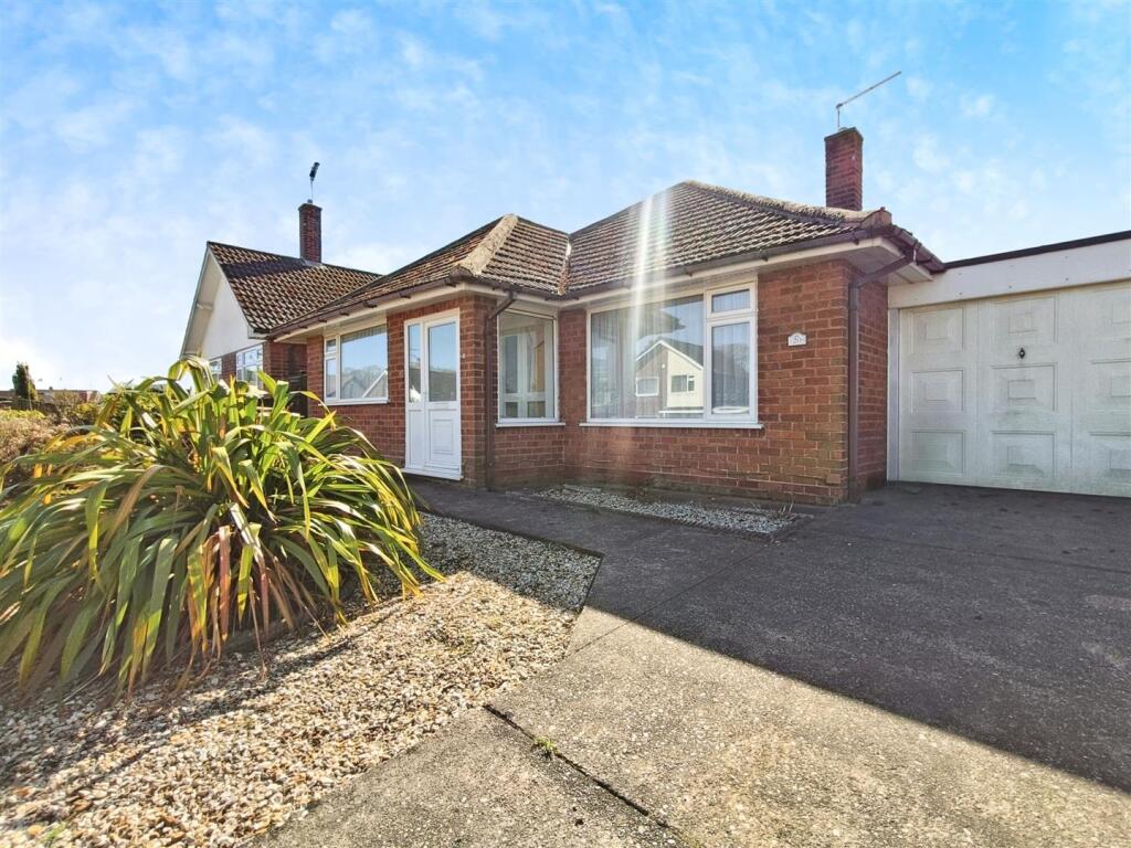 editedimage-f654a19e-c146-491d-9374-88407cc3642e 2