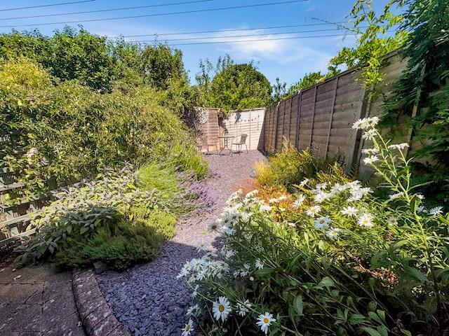 Garden 2.jpg