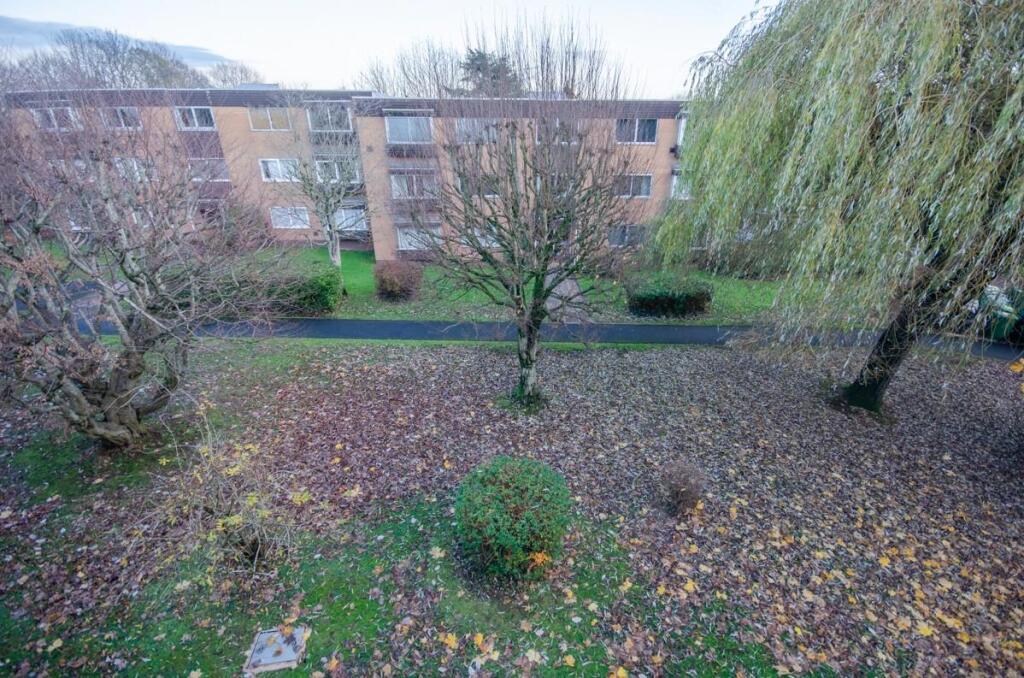 Communal garden.jpg