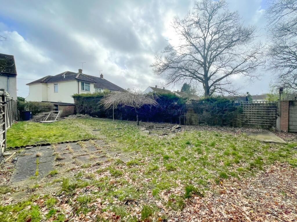 Back Garden 