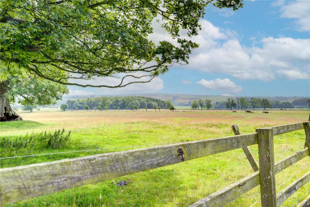View Over Fields