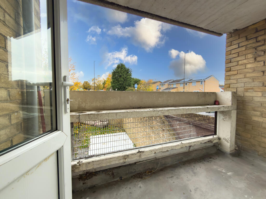 IMG 7144 T202511051328.jpg