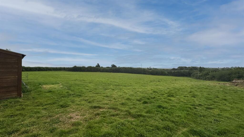 Field 1.jpg