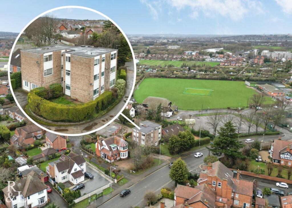 springfields (2).jpg