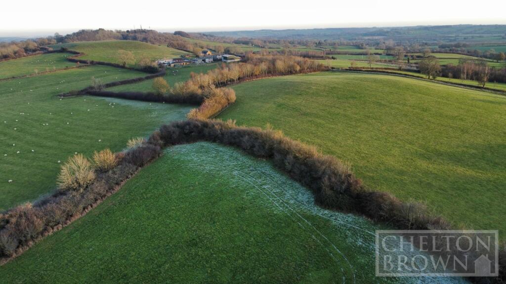 Surrounding Area