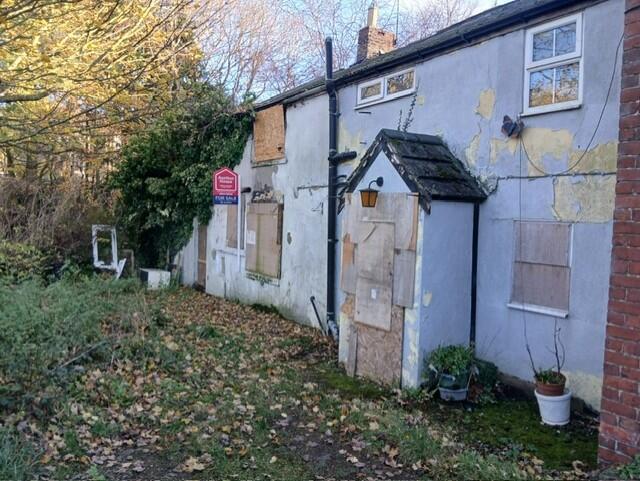 Thumbnail 4e12058a-e4a6-4089-b763-69d91d6e76a4 T202511171601.jpg