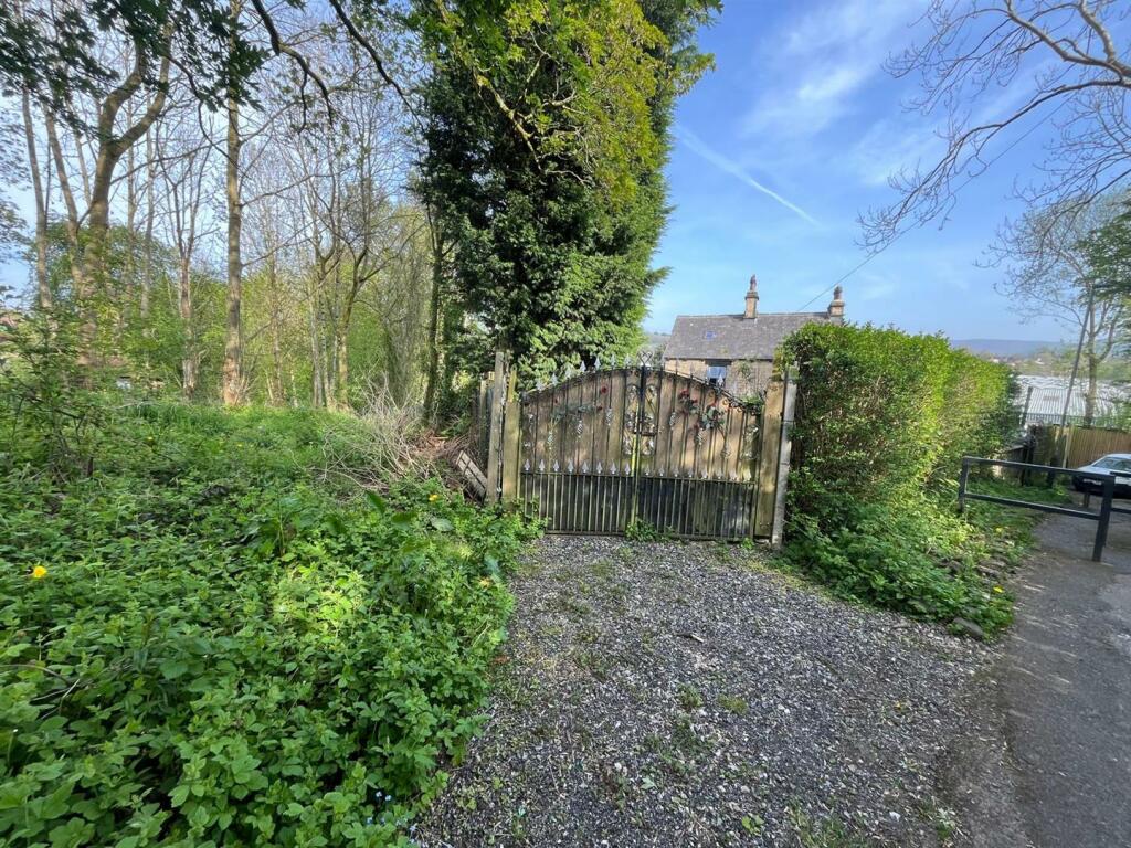 WhatsApp Image 2024-05-10 at 10.02.03 AM (19).jpeg