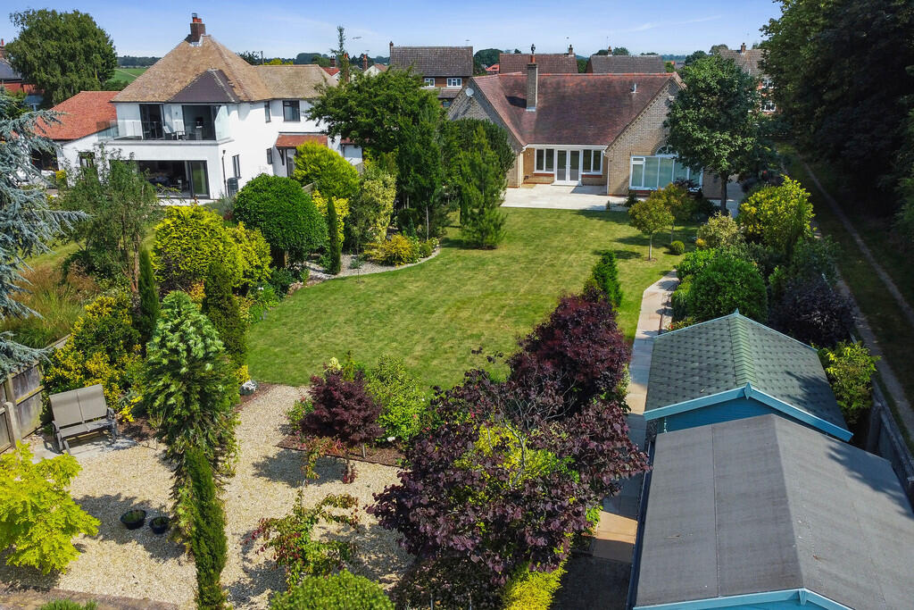 PT-DB(WP)-Brindle...