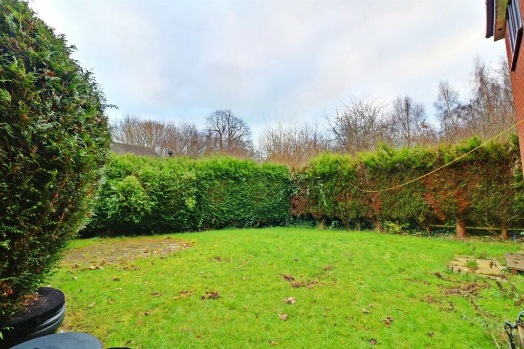back garden.jpg