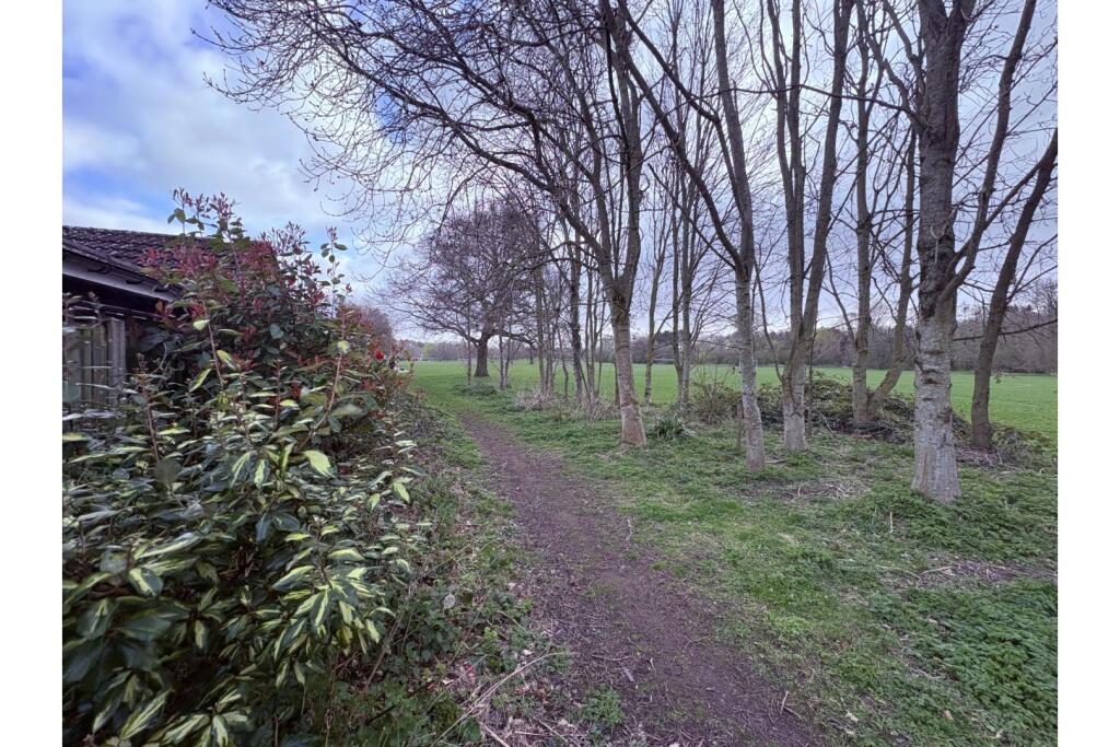 Surrounding Area