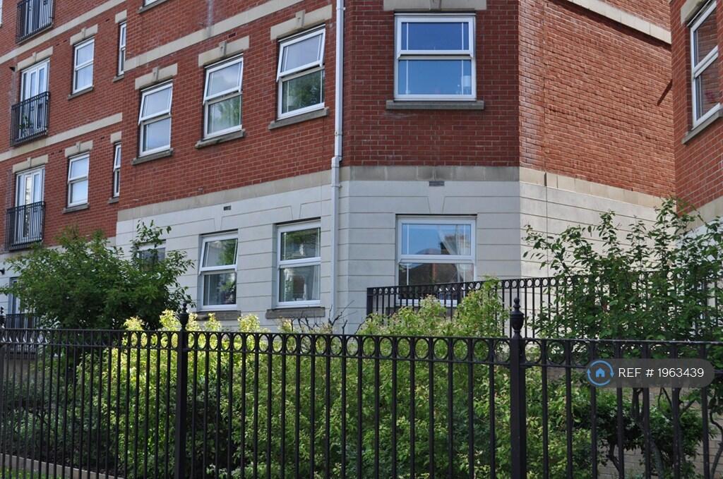 Front Windows - Holland Road