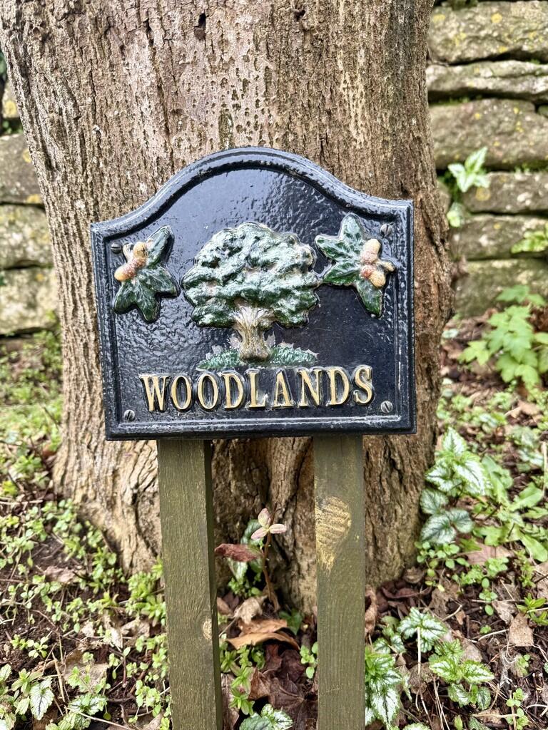 Woodlands