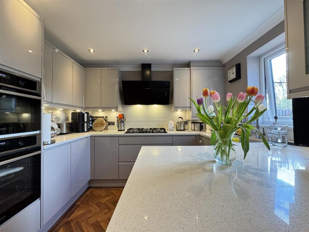 IMG_3886 (Large).JPG