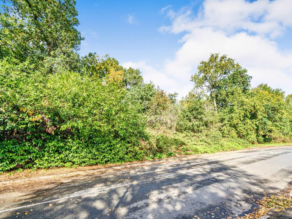 PHOTO-2025-10-05-12-12-56  2  T202510051931.jpg