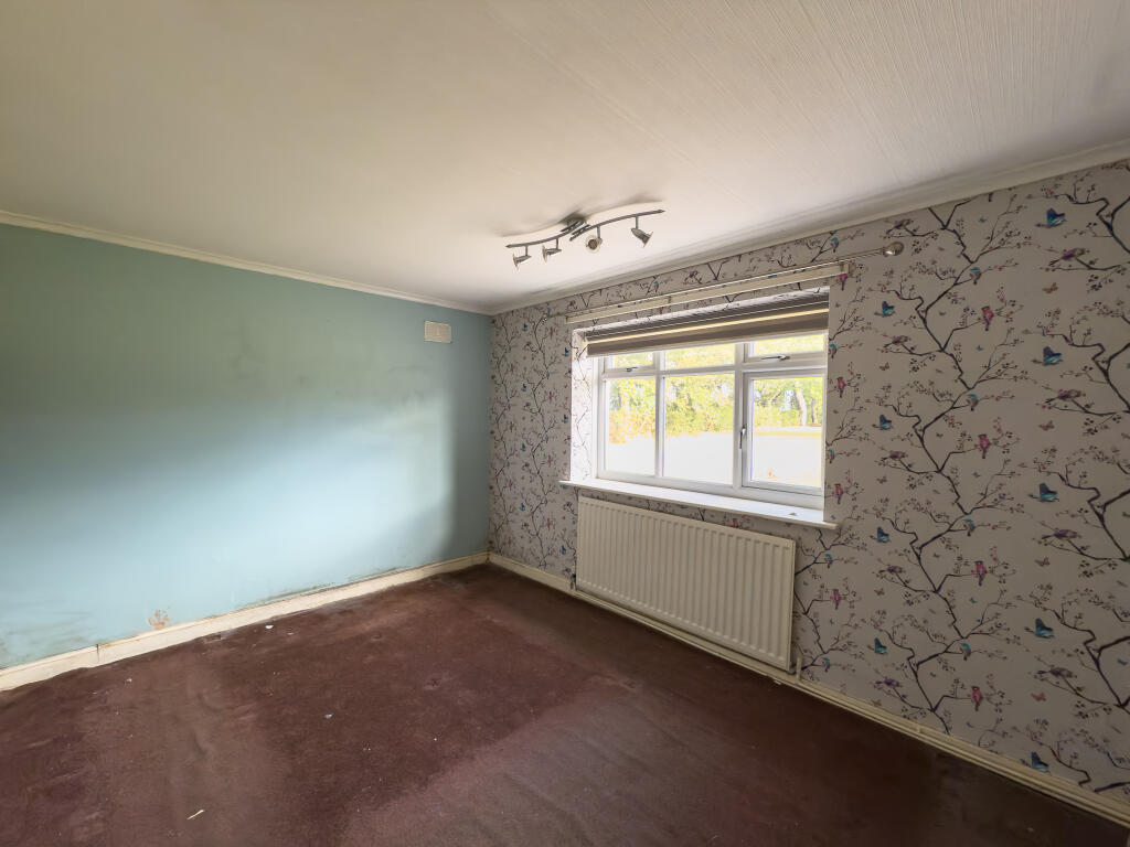 IMG 3948 T202509021251.jpg